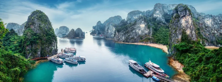 Vietnam E-Visa tourist Business Visa